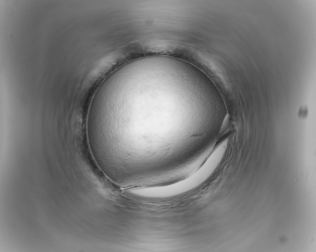 X0000090490407200708102223