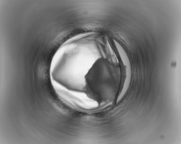 X0000090490408200708102223