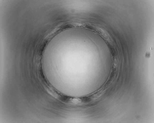 X0000090490409200708102223