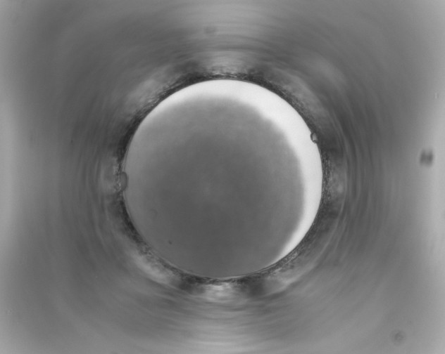 X0000090490411200708102223