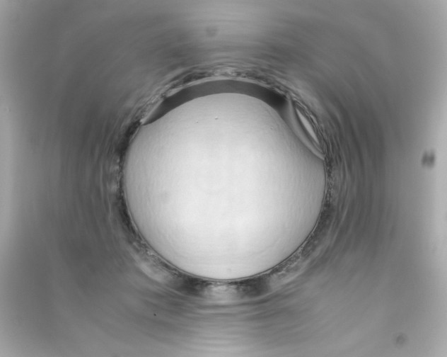 X0000090490413200708102223