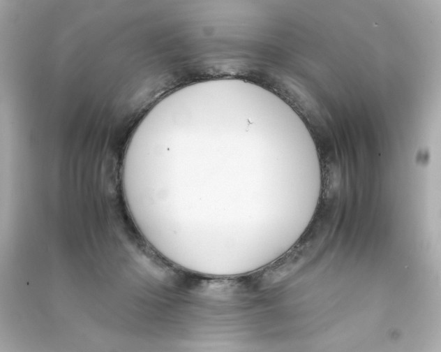 X0000090490414200708102223