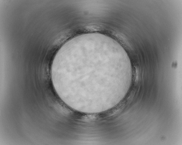 X0000090490418200708102223