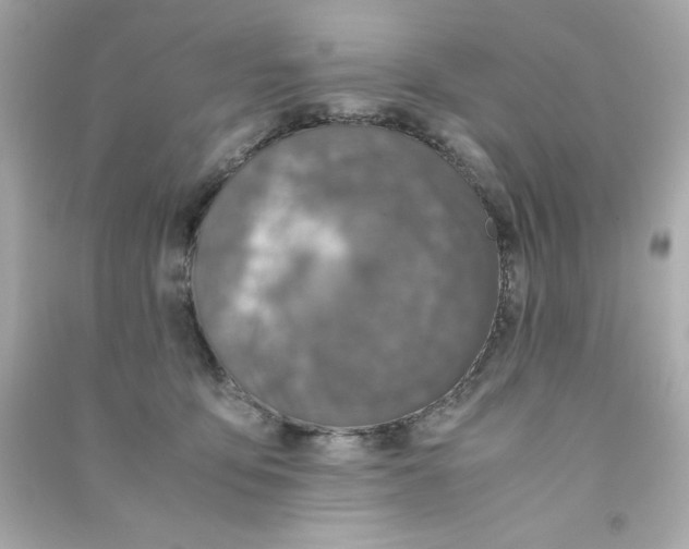 X0000090490419200708102223