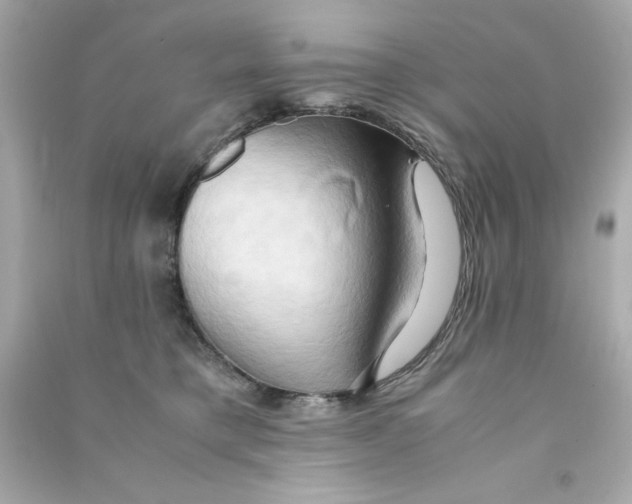 X0000090490421200708102223