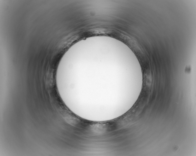 X0000090490422200708102223