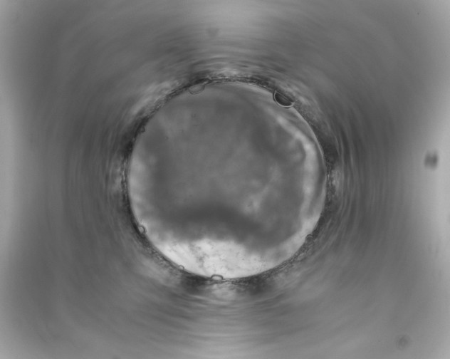 X0000090490423200708102222