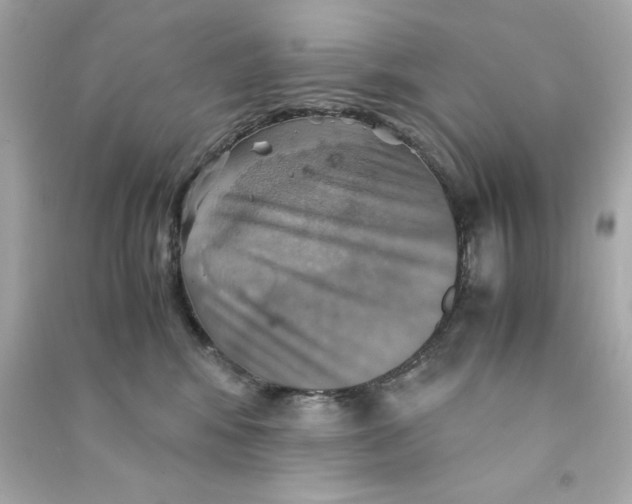 X0000090490424200708102222