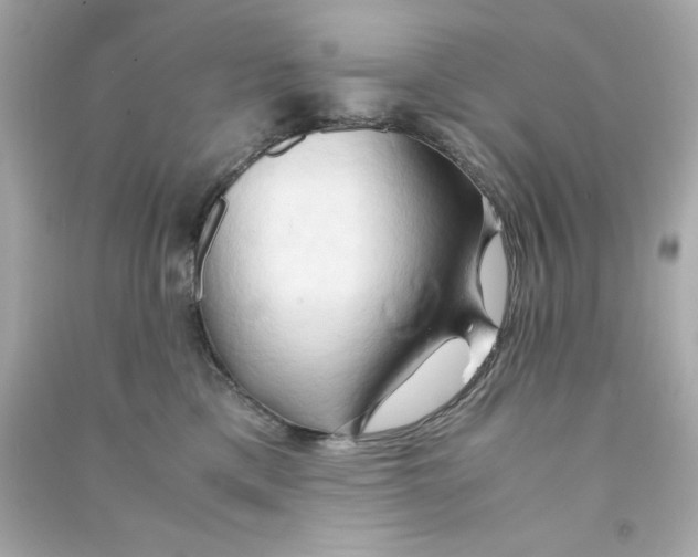 X0000090490425200708102222