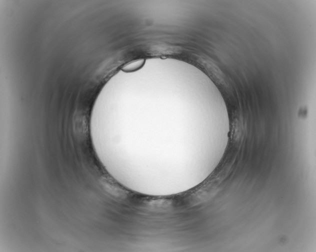 X0000090490426200708102222