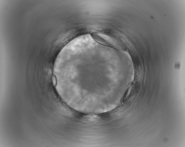 X0000090490427200708102222