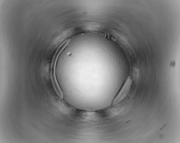 X0000090490428200708102222