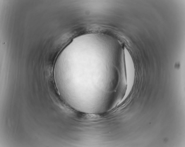 X0000090490429200708102222