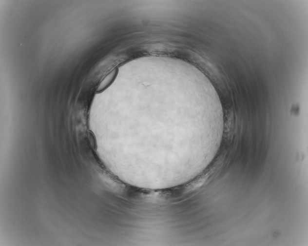 X0000090490430200708102222