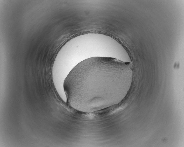 X0000090490432200708102222