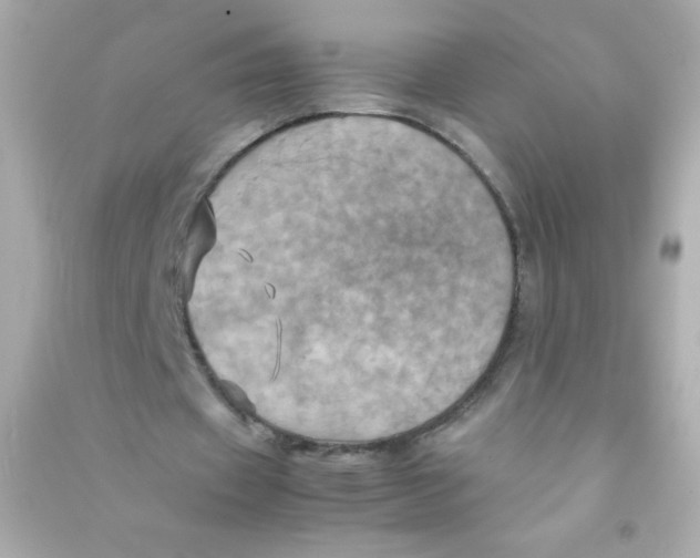 X0000090490433200708102222