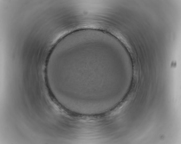 X0000090490434200708102222