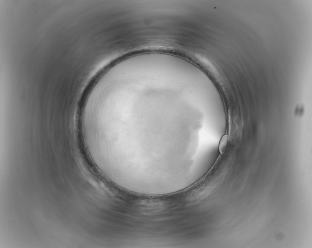 X0000090490435200708102222