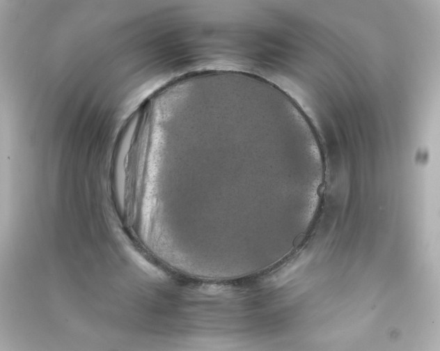 X0000090490437200708102222