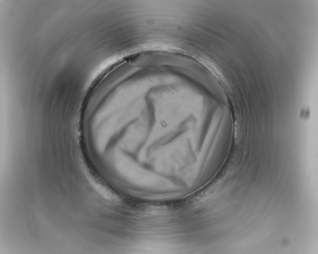 X0000090490438200708102222