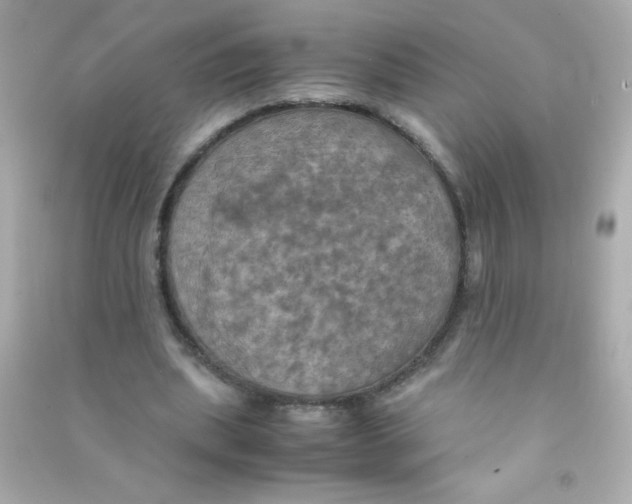 X0000090490439200708102222