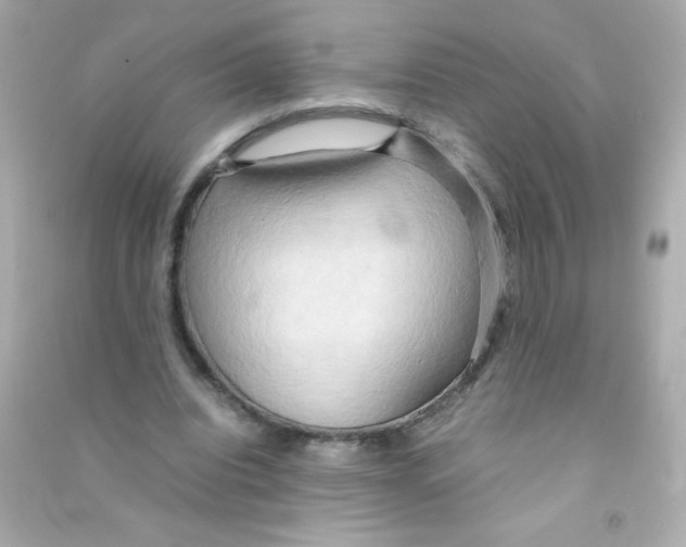 X0000090490440200708102222