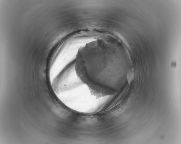 X0000090490443200708102222