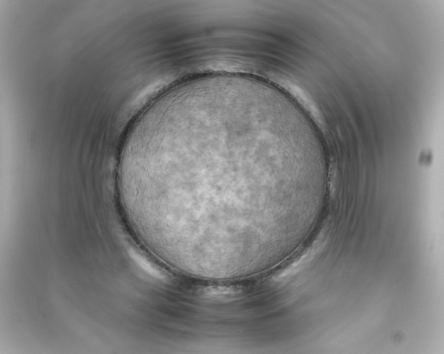 X0000090490445200708102222