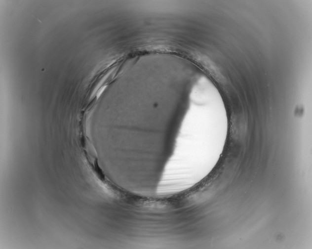 X0000090490449200708102222