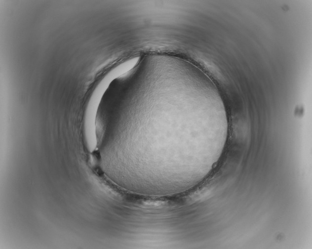 X0000090490450200708102222