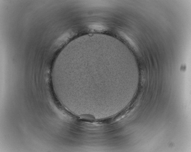 X0000090490451200708102222