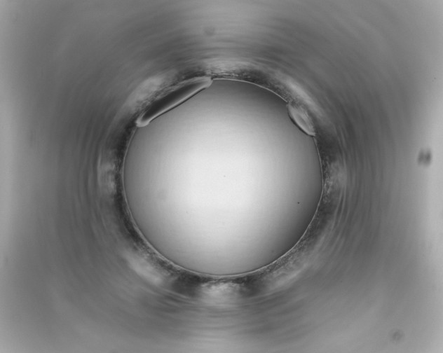 X0000090490452200708102222