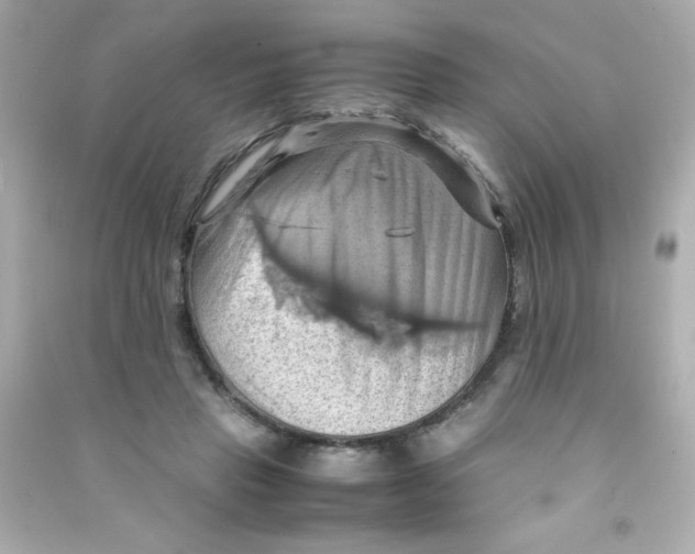 X0000090490453200708102222