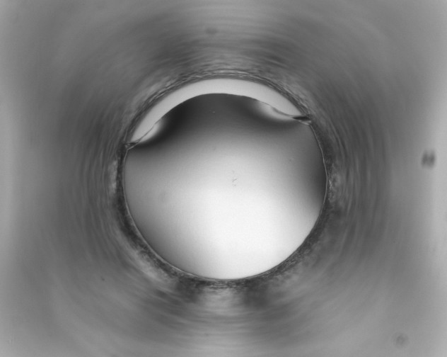 X0000090490454200708102222