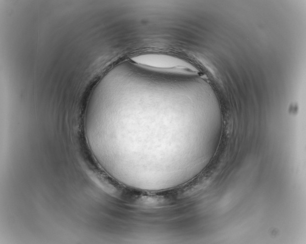 X0000090490455200708102222