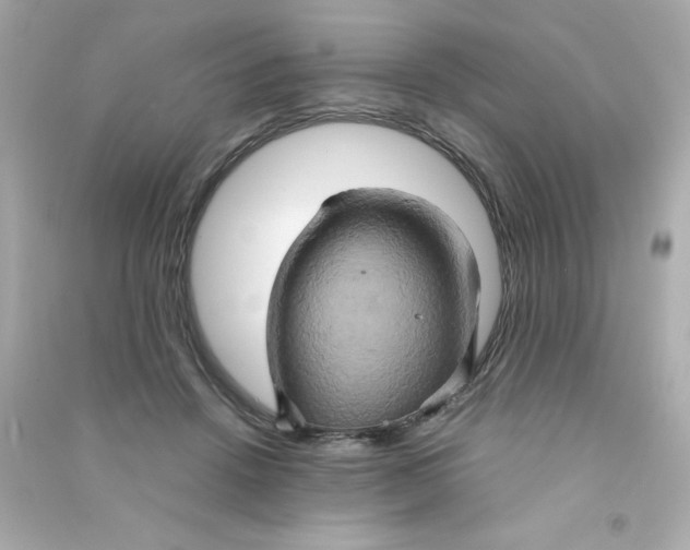 X0000090490456200708102222