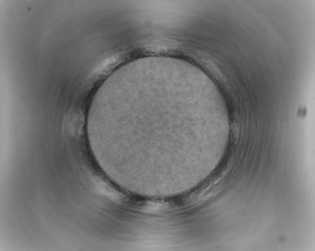 X0000090490458200708102222