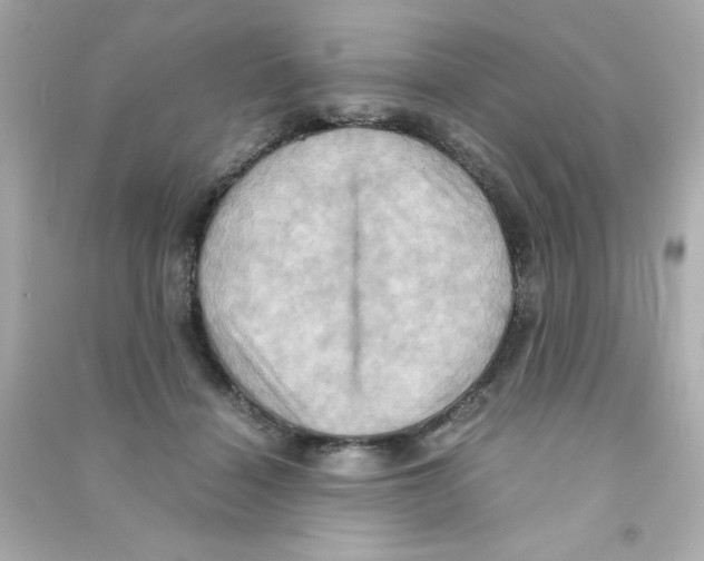 X0000090490460200708102222