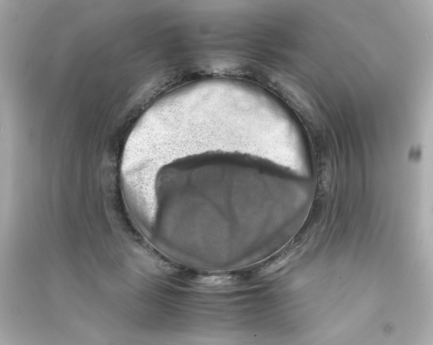 X0000090490461200708102222