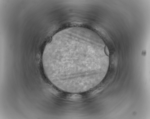 X0000090490463200708102222