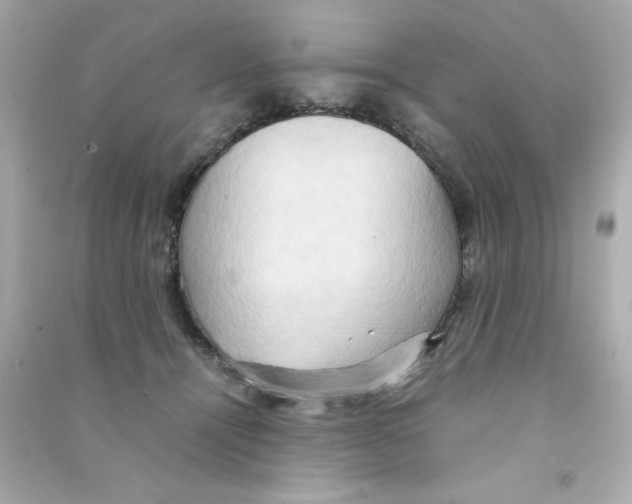 X0000090490464200708102222