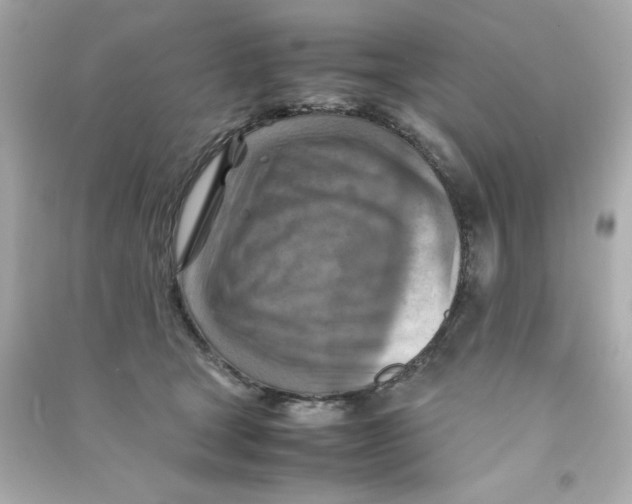 X0000090490465200708102222