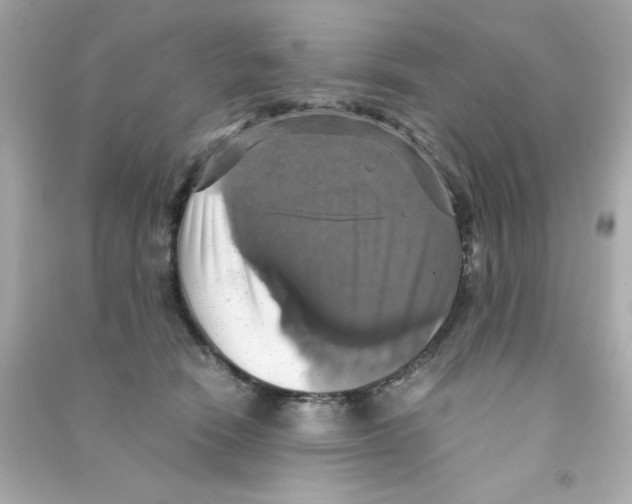 X0000090490466200708102222