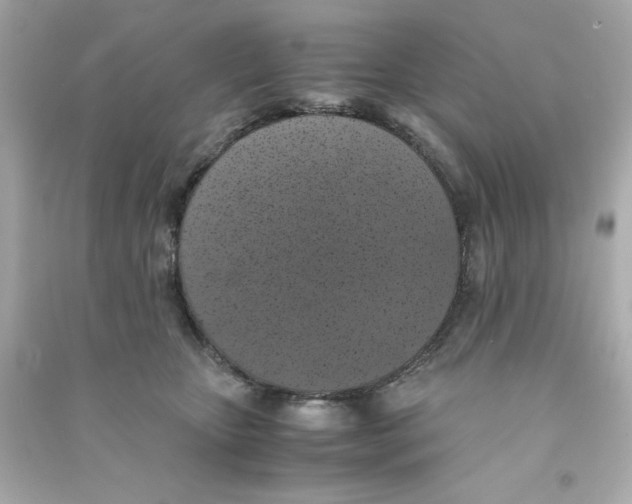 X0000090490467200708102222