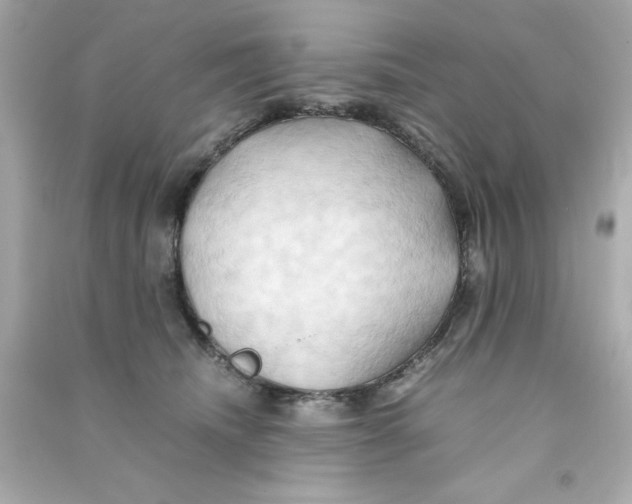 X0000090490468200708102222