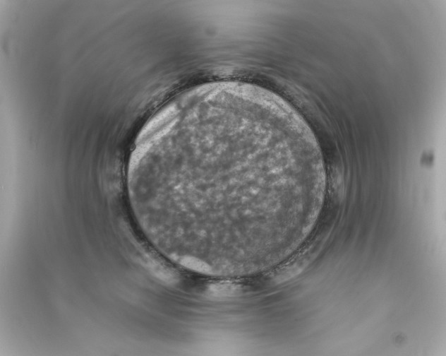 X0000090490470200708102222