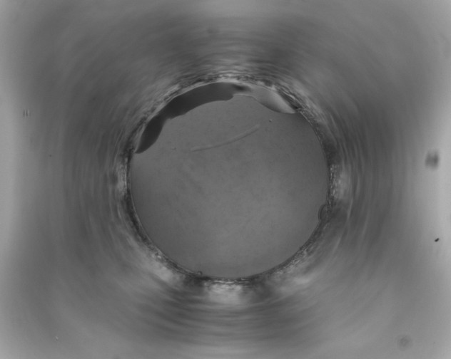 X0000090490471200708102222