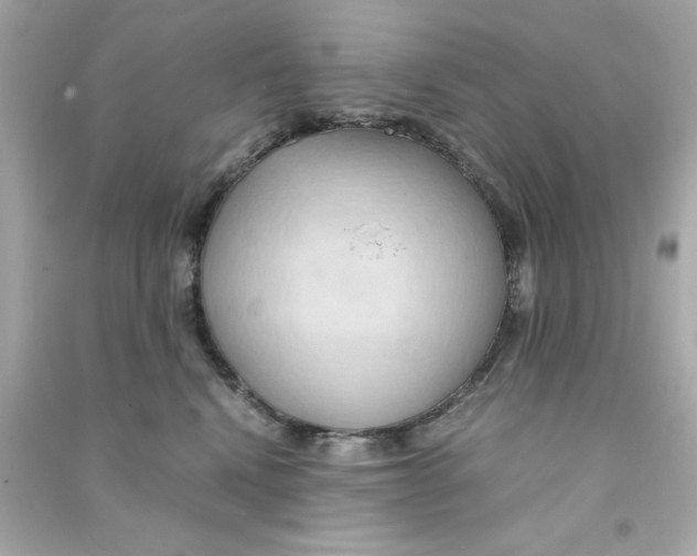 X0000090490472200708102222