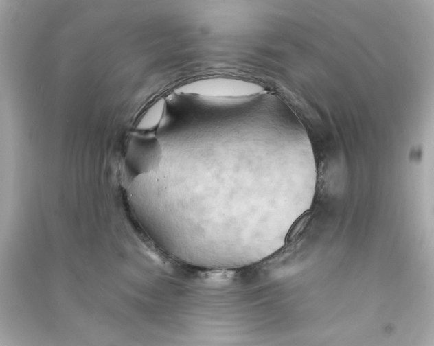 X0000090490474200708102222