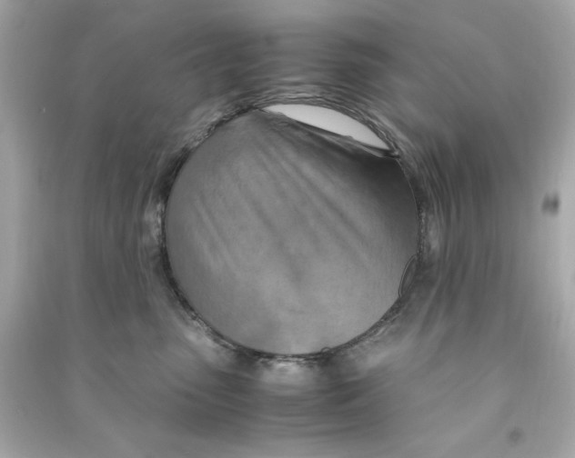 X0000090490475200708102222